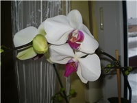 582a0d00-Picture 3776.jpg